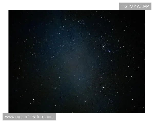 星空官网免费入口2024年最新官方入口，畅享高清星空资源无需付费