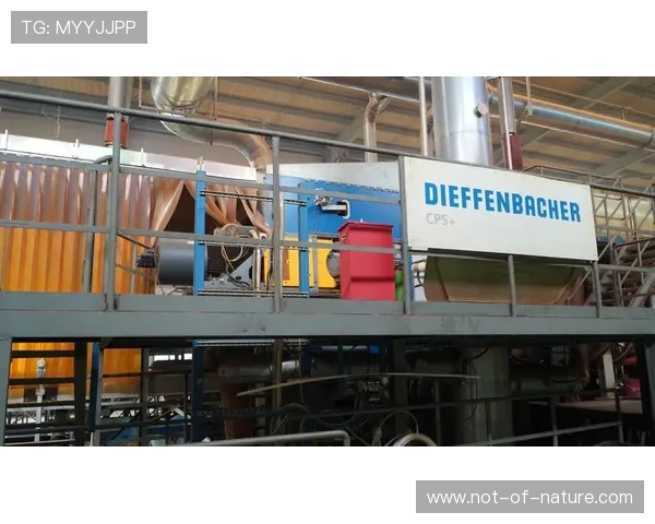 冠恒体育引领运动装备行业技术革新实现高性能与环保的完美结合