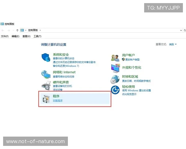 全面解析大满贯报名系统的功能优势与使用技巧