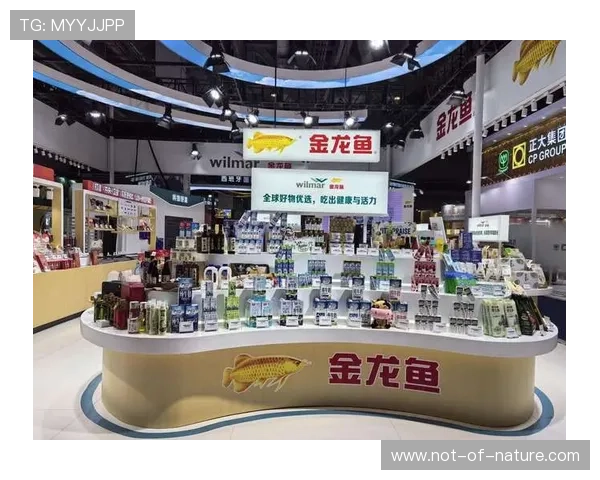 博鱼官网活动奖品丰富多样提升游戏娱乐体验的最佳途径