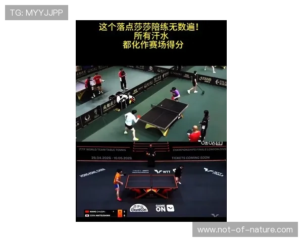 博鱼体育最新赛事直播实时精彩回放带你全程掌握体育瞬间