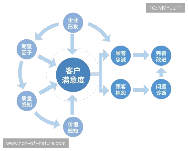 大满贯登录:优化网站登录流程提升用户满意度的方法