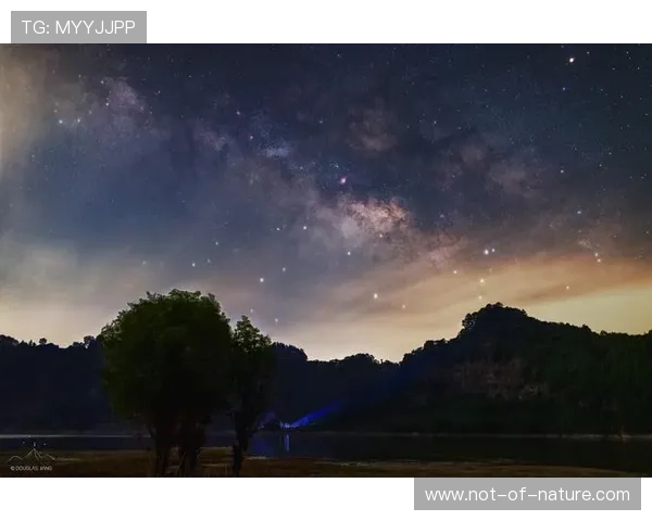 如何准确访问星空网址官方地址，确保不被钓鱼网站误导