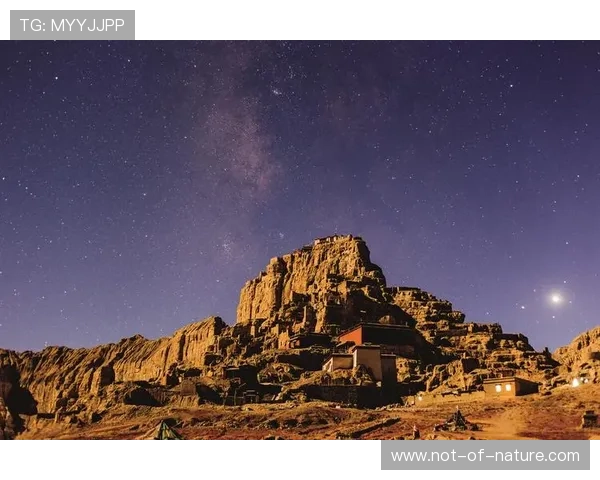 探索星空足球公园的独特魅力：夜晚足球运动与星空观察的绝佳结合地