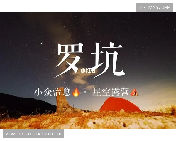 星空体育在线登录全天候客户服务为你排忧解难提供保障