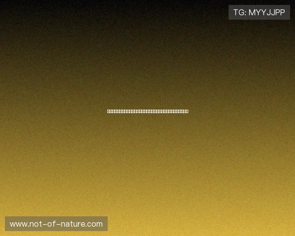 如何快速完成星空体育真人版会员注册流程详细步骤介绍助你畅享精彩比赛