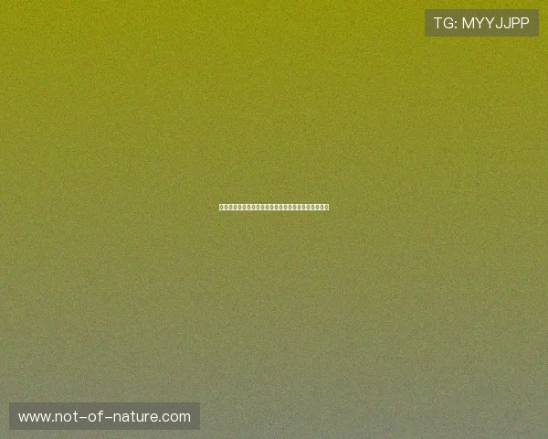 探索星空体育投注平台让您的投注体验更加专业与便捷